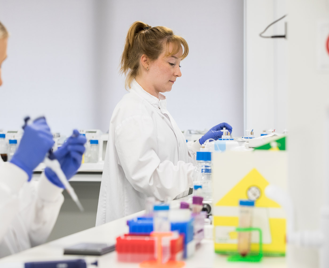 A scientist works in a lab