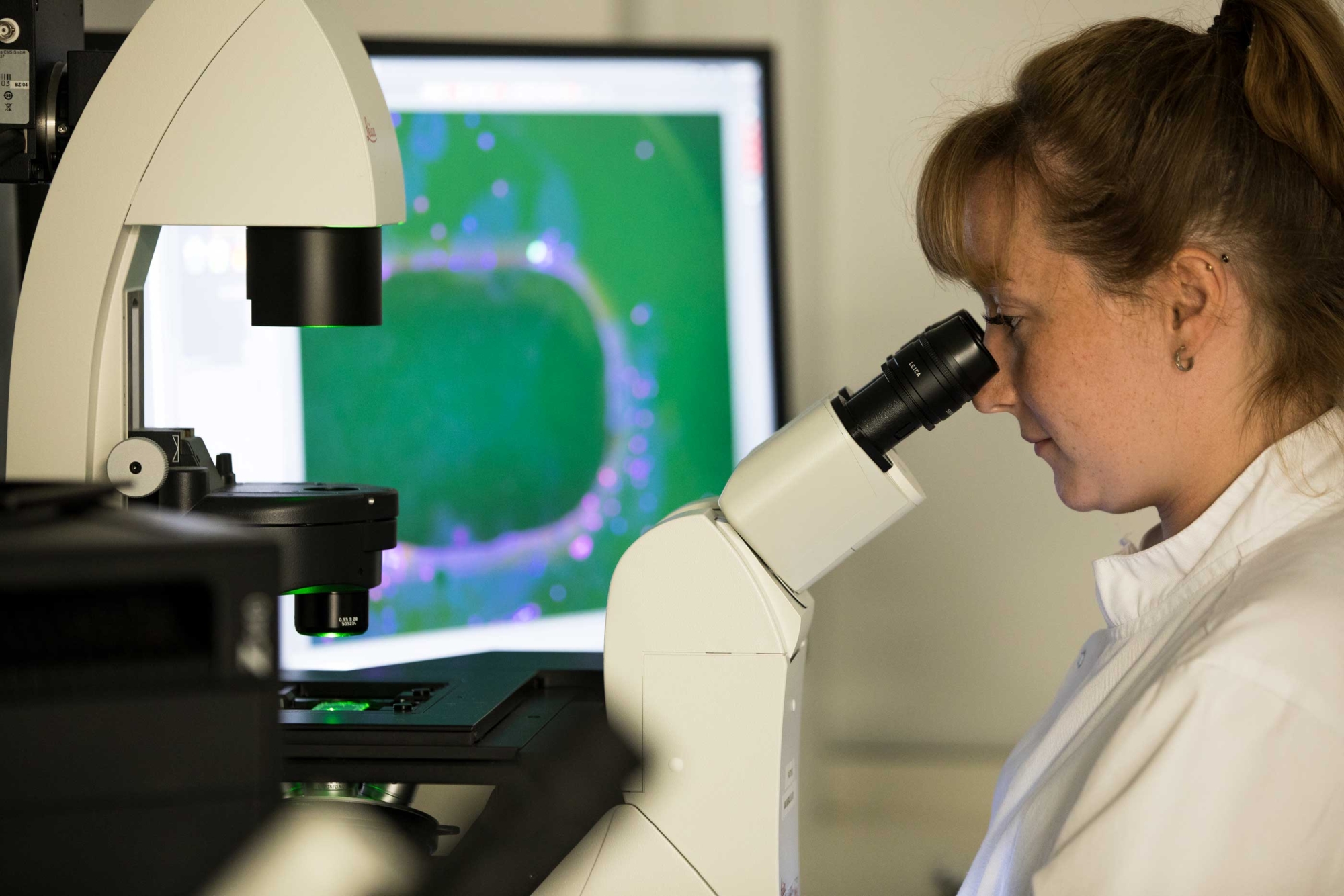 A woman in a lab coat looks into a microscope with a display monitor in the background