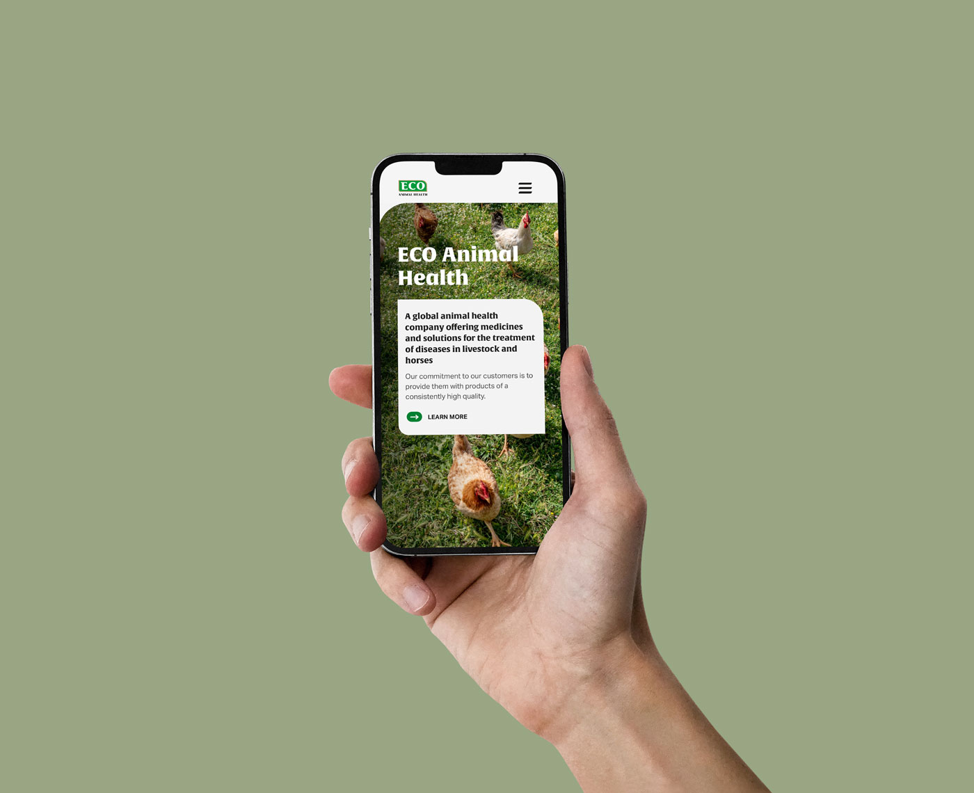 A hand holding a mobile pone displaying a page from a website with images and copy