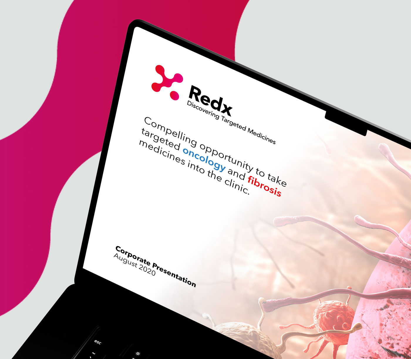 A laptop displays the cover of the redx pharma guidelines